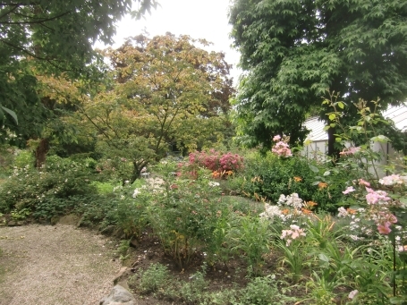 Steyl : Maashoek, Botanischer Garten Jochumhof